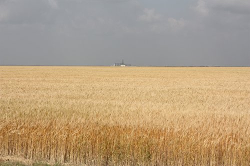 Property photo 18 - Cimarron, Kansas Land Auction - 310 Acres Offered in 7 Tracts